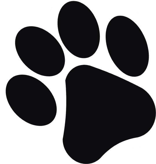 Animal Footprint Illustration